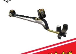 فلزیاب نقطه زن Fisher Gold Bug